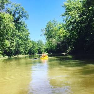 Meet your Posher, Madison